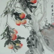 杨峰 人寿年丰 